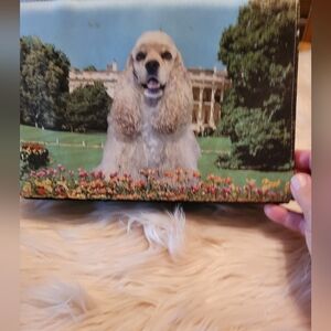 Elegant Dog Print Tote Bag